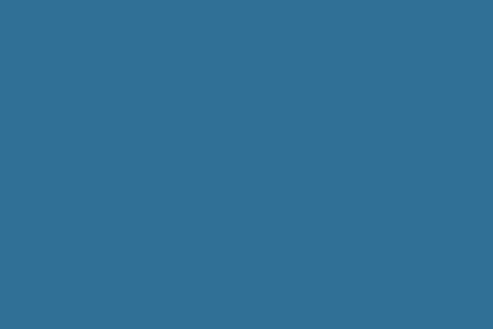 Color - Pigeon Blue